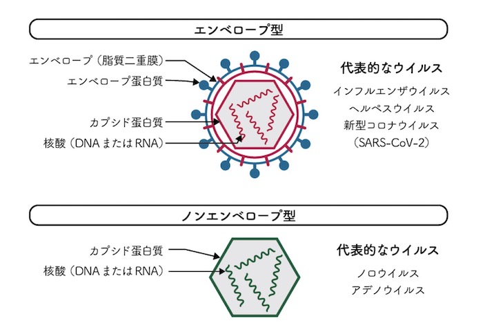 エンベロープ コロナ エンベロープウイルスの構造と不活性化機序