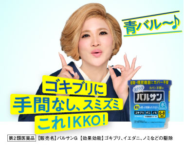 快適なくらしをまもるバルサン レック株式会社 快適なくらしをまもるバルサン レック株式会社